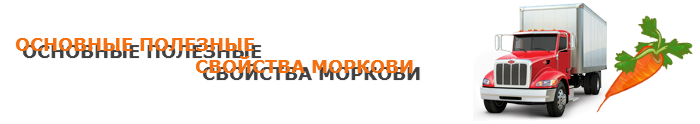 img-00-perevozka-morkovi-ttk-sl-013