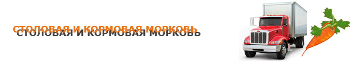 img-00-perevozka-morkovi-ttk-sl-0172