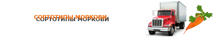 img-00-perevozka-morkovi-ttk-sl-03
