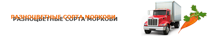 img-00-perevozka-morkovi-ttk-sl-07