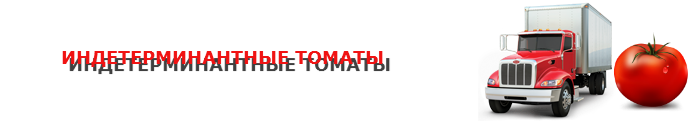 perevozka-pomidor-ttk-sl-0012