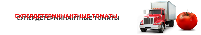 perevozka-pomidor-ttk-sl-0014