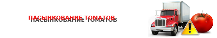 perevozka-pomidor-ttk-sl-0025