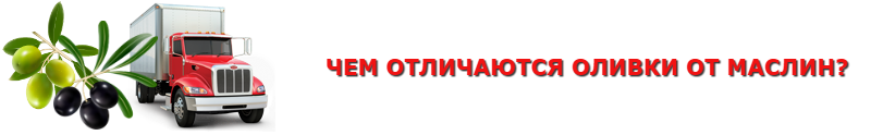 olivki-maslinu-ttk-sl-com-4997557224_003