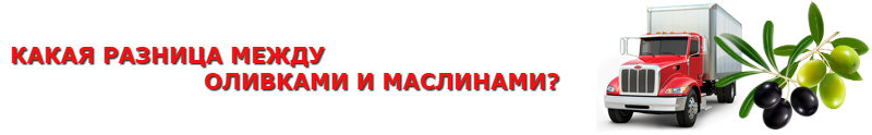 olivki-maslinu-ttk-sl-com-4997557224_004